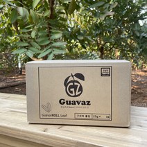 군산 구아바잎차 100g 구아바잎 구아바 효능