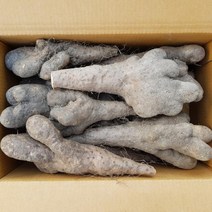 마 참마 못난이 3kg 5kg 산마 안동마 안동참마, 참마 못난이 5kg