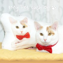 행복한이가 나만의 반려동물 실사 쿠션 - 맞춤 제작 쿠션 고양이쿠션 강아지쿠션 커스텀쿠션