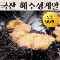 [어부언니] 국산 성게알 우니 자연산 생물 해수우니 횟감용 500g 300g 100g, 1개