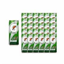 게토레이 레몬 캔, 240ml, 6개