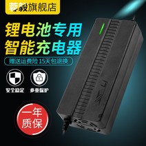 전기차 리튬인산철 배터리 충전기 20줄 파워뱅크 낚시 고출력 쾌속 73V60V2A3A4A5A6A8A10A, 20줄60V철리x73V10Ax