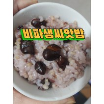 완도산 비파생씨앗 2KG 밥에넣어드시면좋은 비파씨앗, 1개