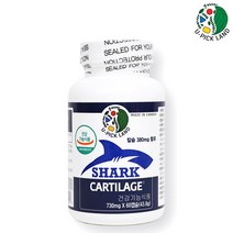 캐나다 상어연골 콘드로이친 칼슘영양제 어골칼슘 뼈영양제 뼈에좋은 칼슘제추천, 본제품 1병, 병당 60캡슐