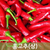 국산 홍고추 1박스1kg 5kg 10kg 건고추용 물고추 빨간홍고추, 홍고추 1kg