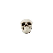 [바보사랑] 두개골 해골 모형 6호 (2X2X1.5cm) -스투피드, 색상:공통|사이즈:공통|스타일:공통|사은품:공통, 단품