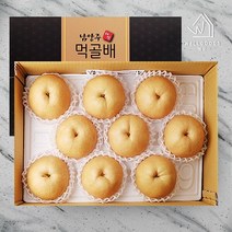 [웰굿]남양주 명품 먹골배 선물세트 3호(7.5kg 10과 대과), 단품