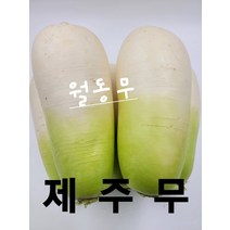 무 제주 월동무 1개 1.5kg내외 야채맘