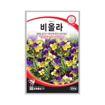 모칸도 (무배)세계 비올라 꽃씨 (300립)