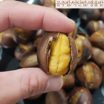 칼집 공주밤 약단밤 생율밤 약밤 에어프라이어 군밤 알밤 생률밤 1kg, 생율밤(칼집) 1kg