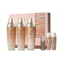 다나한 본연진 2종 특별기획세트(스킨2+로션1)+2종샘플증정, 1개