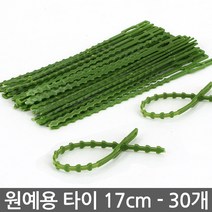 식물고정 타이 23cm 30개 - 원예 식물타이 화분 케이블타이 식물고정 식물고정끈 시물고정타이 원예타이 타이 끈타이, 02_Sein_원예타이17cm(30개)