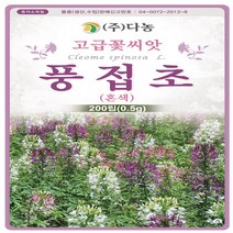 야생화 꽃씨 풍접초 족두리꽃(혼색) 0.5g