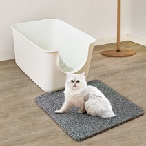 바라바 고양이 모래 매트 사막화 방지 화장실 매트, 04.레드, C.60X120 특대형