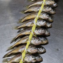 영광 법성포 참굴비1.3kg 20미 국내산 굴비, 1box, 영광굴비 1.3kg 20미