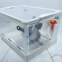 강아지네블라이저 상자 산소방 폐렴 치료기 고양이, 소형
