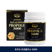 네이쳐스탑 프로폴리스 5000mg 120정