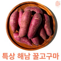 해남 햇 꿀 고구마 3kg 5kg 10kg [특상크기], 특상 10 KG, 1개