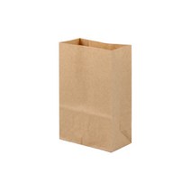 나우스팩 무지 크라프트 각대 종이봉투 특소2호(1 000장)- W120 x D60 H178mm, 999개, 260L0210A 무지 크라프트 각대 종이봉투 특소2호(120x60x178) 1000장