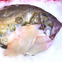 순살 달고기 700g 남해안 손질 달고기포 생선요리 구이 생선가스 이유식, 1개