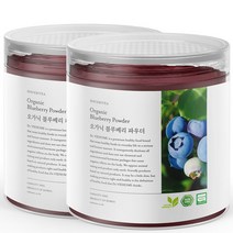 닥터비옴 100% 유기농 블루베리 가루 100g x 2개, 1세트 (2개입)