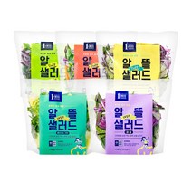 [1am] 알뜰 데일리 세척 야채 샐러드 5종 혼합구성, 5팩