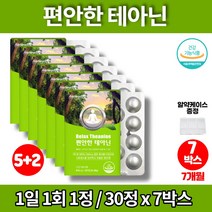 엘테아닌 THEANINE 직장인 스트레스 릴렉스 알파파 수험생 청소년 중학생 고등학생 고3 대학생 발표 긴장 영양제 GLM 청사과 멘톨 자일리톨, 7박스