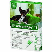 10파운드 미만의 개와 강아지를 위한 Advantage Pet Care Flea Control 4팩