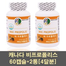 프로폴리스 비프로폴리스 분말 플라보노이드 향균 고함량 캐나다 꿀 구강 활력 활성산소 캡슐 영양제 가족 부모님 어린이, 2통, 60캡슐