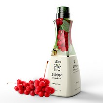 더진한 오미자베리 1.5kg 과일농축액 오미자농축액 오미자청 카페음료, 단품