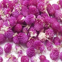 천일홍꽃(비누 화장품 원료), 천일홍-100g, 1개