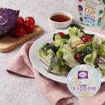 의령농산 건강채소 당일채소 당일제조 당일발송 샐러드도시락 1주일5일구성 추가증정 1팩, 양배추컷샐러드 100g×5팩