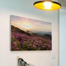 pi533-폼아크릴액자58CmX38Cm_철쭉꽃이핀산정상일출