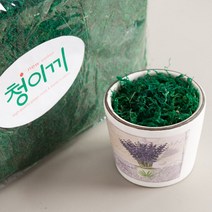 플라워트리 청이끼 인테리어 소품 DIY 실내조경 테리스 조화 화분 테라리움 FDIYFT
