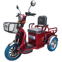 새일 전기 전동차 스쿠터 Sl-땅콩 삼륜 오토바이