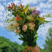 이달의 계절 생화 꽃 랜덤박스 정기구독 화훼농가돕기 생화택배 꽃배달싼곳