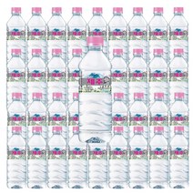 휘오 제주v워터, 500ml, 40개