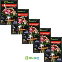 플로라라이프 사쉘 5ml 100봉/꽃수명연장제, 플로라라이프  사쉐 5ml 100봉, 100개