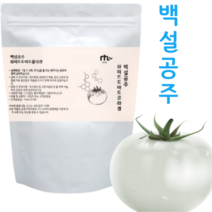 흰색 백 하얀 화이트 토마토 농축 추출 분말 가루 파우더 먹는 썬크림 자외선차단제 피토엔 피토플루엔 피부에좋은 먹는 엘라스틴 무색 카로티노이드 180g X 1팩