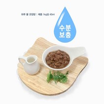 수분보충하는 고린이용 캔간식 10개 습식캔 가을애묘 고양이먹이 cat 건강
