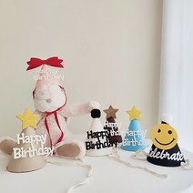 화예원 홈 파티 생일 고깔 모자, 열로우