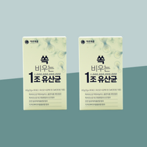 [2개월분] 오늘내림 쏙비우는 1조 유산균 아연 판토텐산 (2박스)