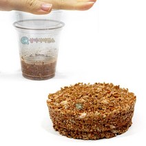 3지층 퇴적암 만들기 (5인 세트)