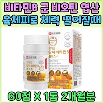 비타민B 군 비오틴 엽산 나이아신 육체피로 체력 소모 보충 비타민 B1 B2 B6 B12 티아민 Vitamin 비 피로회복 식약처인증 건강 영양제 활력 충전 무기력 기운없을때