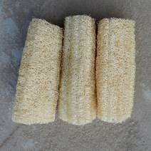 천연 수세미외락 사발과 수건 주방 수세미주머니 줄기 수세미외박 물 사과 2572358897, 수세미외 토막 15 센치 3 개입