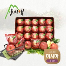 [산지애] 씻어나온 사과 미시마 3kg(11~15과) 1박스, 단품