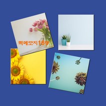 예닮 다쿠용 정사각 메모장 떡메 캐릭터메모지 귀여운메모지 예쁜메모지 칼라 대떡메 떡메모지 도안 떡메모지 제작 2권, 아이보리