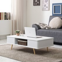 [아트랙] 제니스-1000/1200 거실테이블 소파테이블 둥근테이블 높은테이블 테이블, 낮은(화이트)