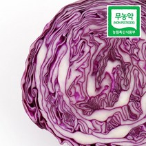 친환경 유기농 무농약 적채 적양배추 보라색 양배추 3kg, 적양배추 3kg