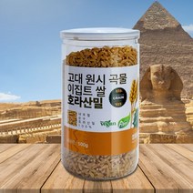 호라산밀 고대 곡물 이집트쌀 잡곡 귀리 밀 호라산, 500g x 1통